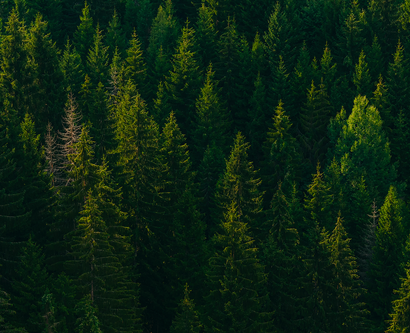 Addressing Climate Change